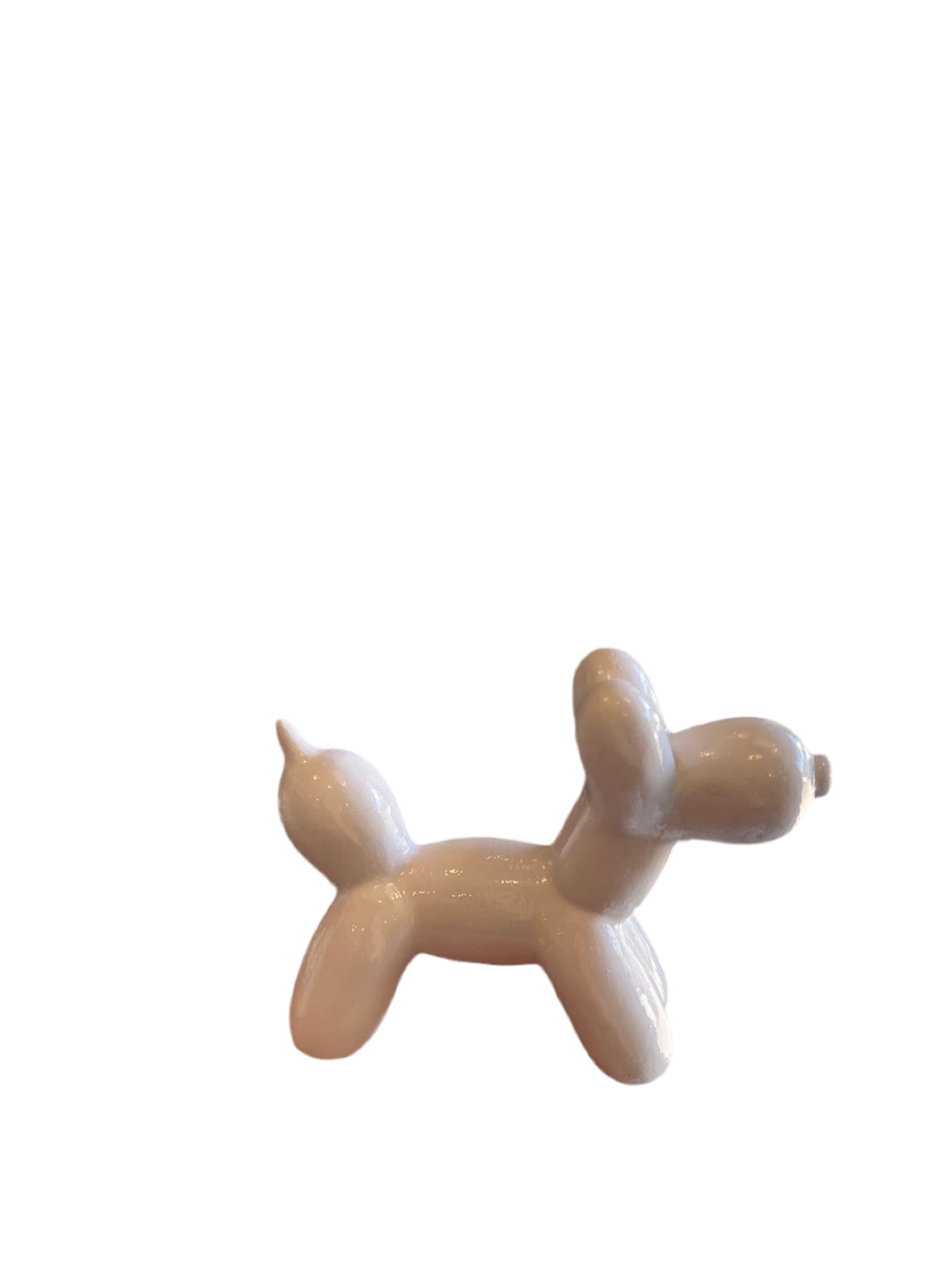 palloncino cane