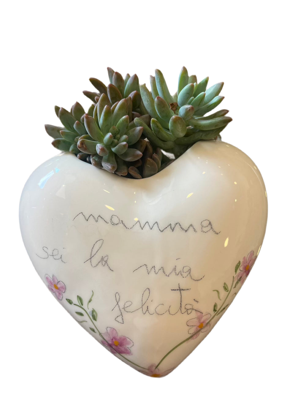 Cuore porta piantina a muro "mamma"