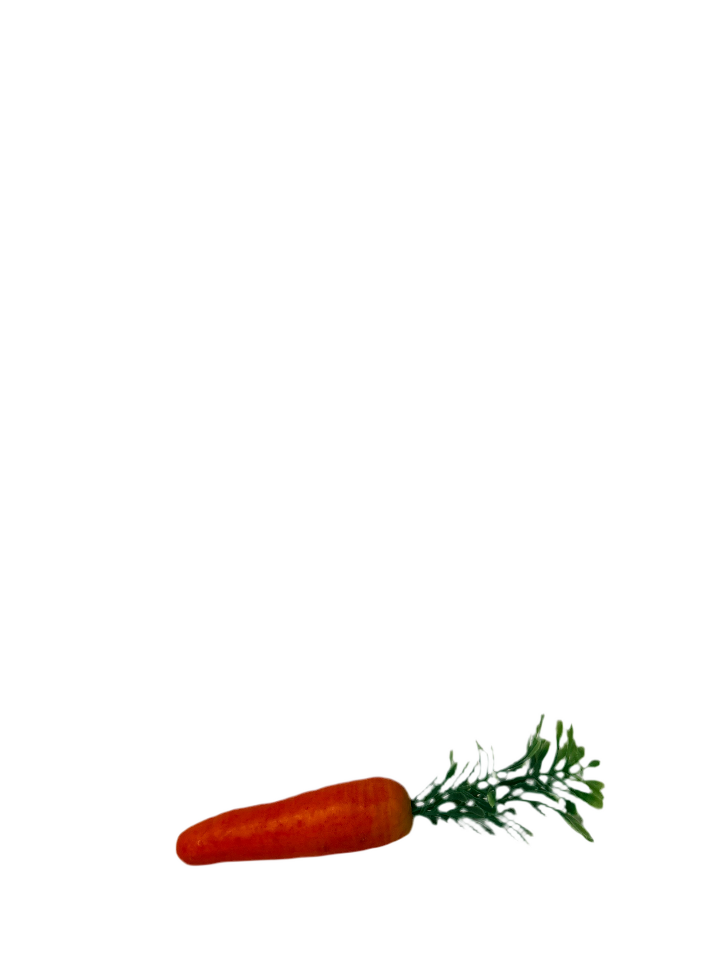 carota polistirolo