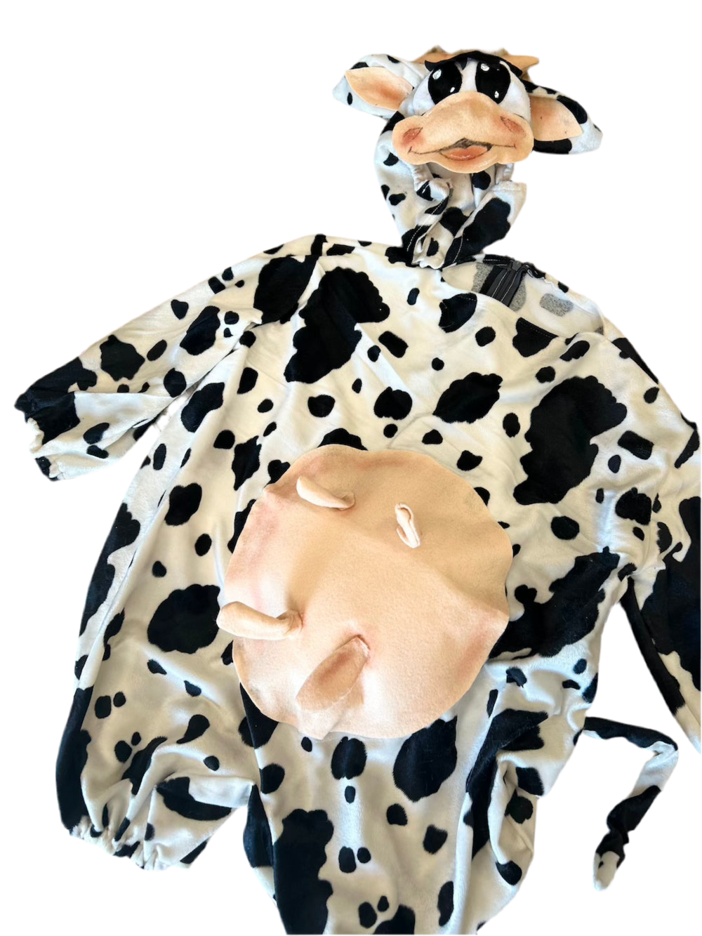 Mucca
