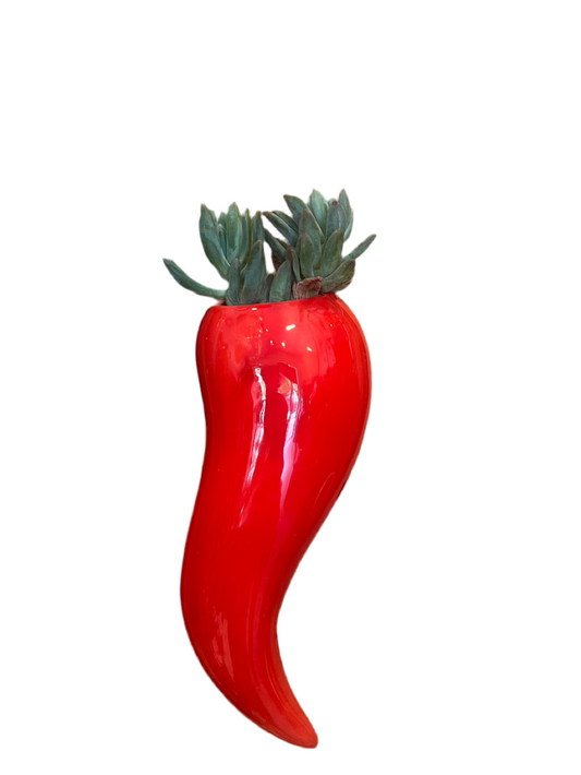 Corno rosso porta piantina