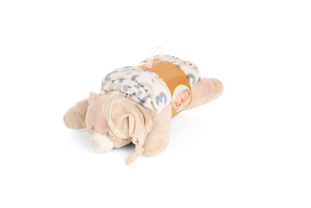 Cuscino con coperta