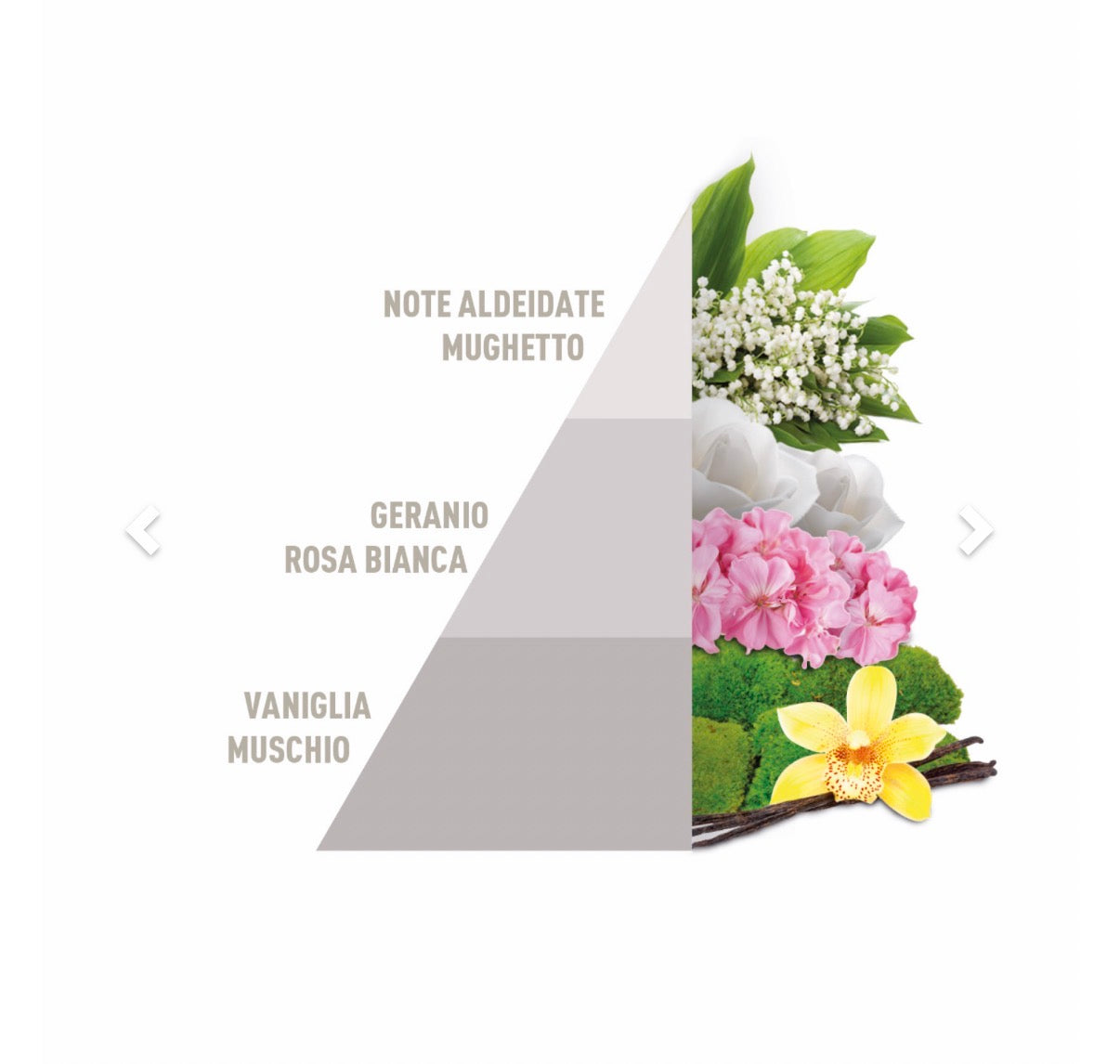 Profuma bucato White 25