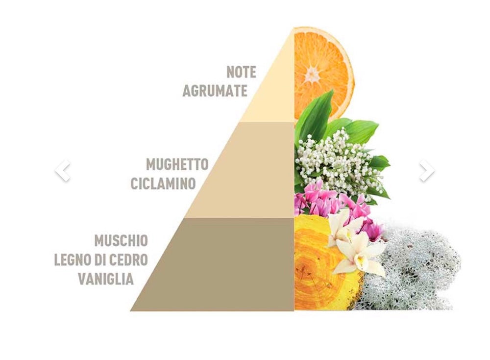 Profuma bucato   250ml