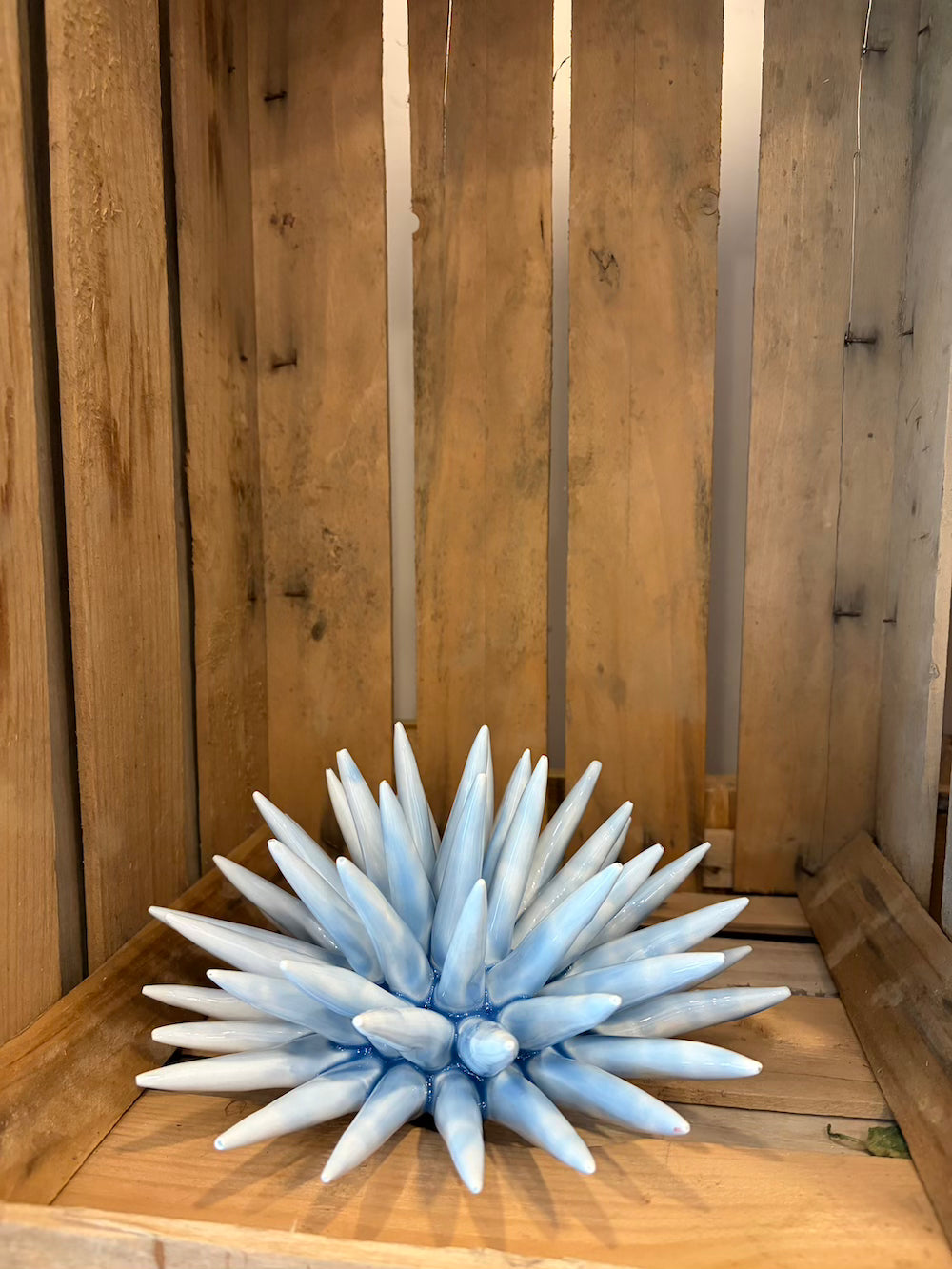 Riccio di mare ceramica
