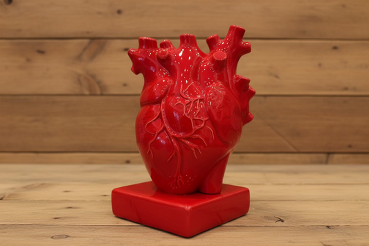 Cuore anatomico grande